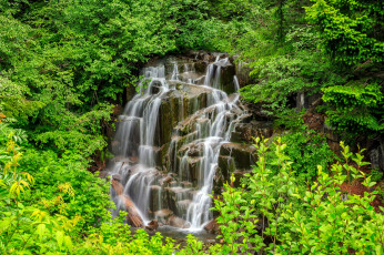 Картинка природа водопады лес река водопад