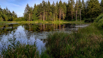 Картинка природа реки озера лес река