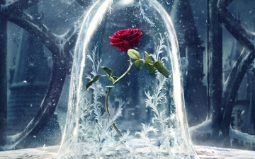 Картинка кино+фильмы beauty+and+the+beast beauty and the beast