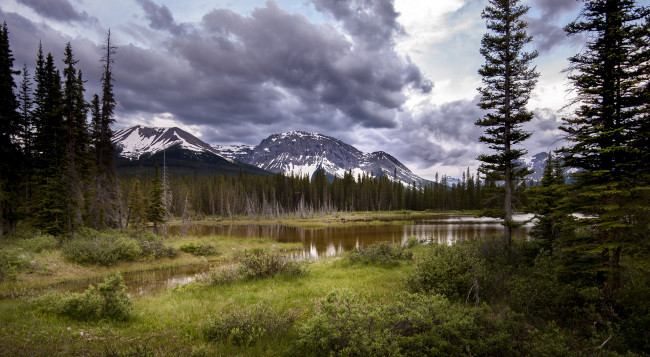 Обои картинки фото природа, реки, озера, река, лес