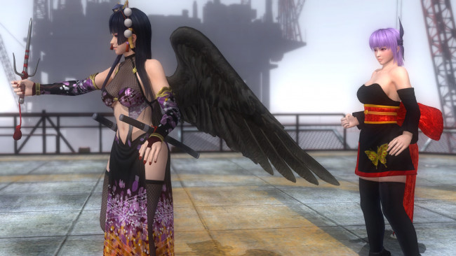 Обои картинки фото ayane and nyotengu black ninja, 3д графика, аниме , anime, взгляд, девушки, фон, поза