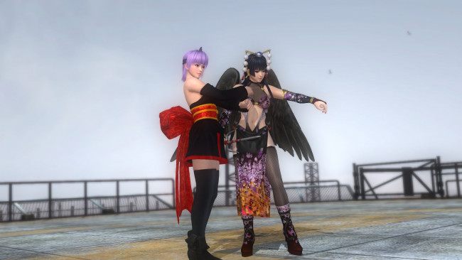 Обои картинки фото ayane and nyotengu black ninja, 3д графика, аниме , anime, фон, взгляд, девушки, поза