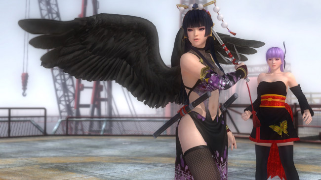 Обои картинки фото ayane and nyotengu black ninja, 3д графика, аниме , anime, поза, фон, взгляд, девушки