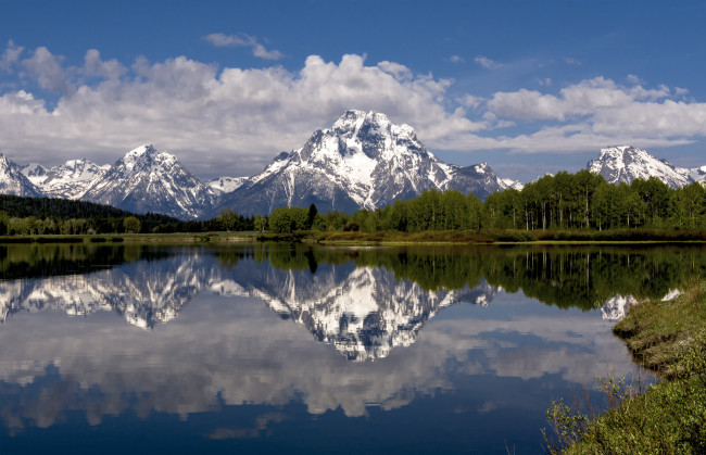 Обои картинки фото природа, реки, озера, лес, река