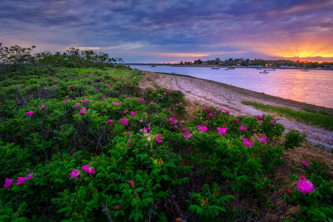 Обои картинки фото природа, реки, озера, лес, река