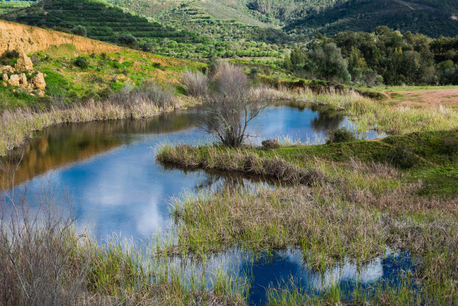 Обои картинки фото природа, реки, озера, река, лес