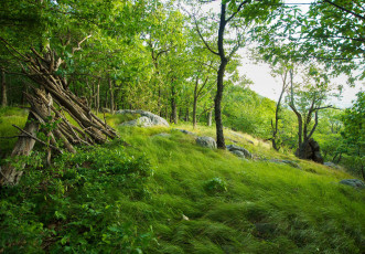 Картинка природа пейзажи простор