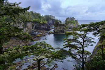 Картинка природа побережье берег море