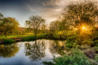 Картинка природа реки озера река лес