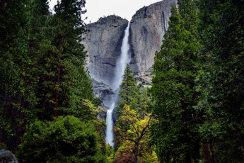 Картинка природа водопады река лес водопад