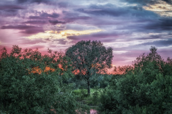 Картинка природа реки озера река лес