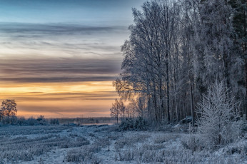 Картинка природа зима снег