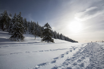 Картинка природа зима снег