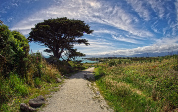 Картинка природа дороги река лес