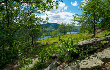 Картинка природа реки озера простор