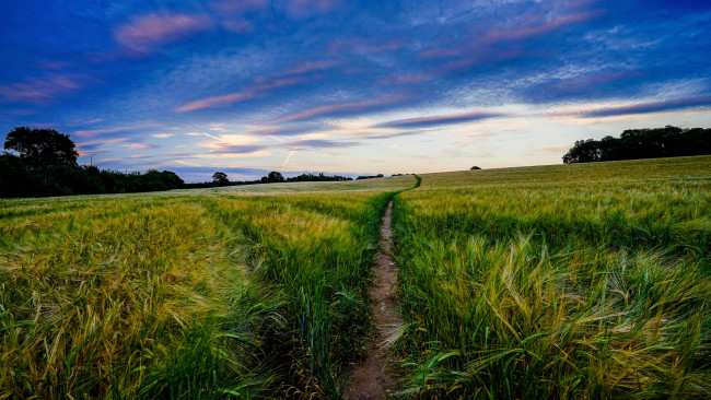 Обои картинки фото природа, поля, простор
