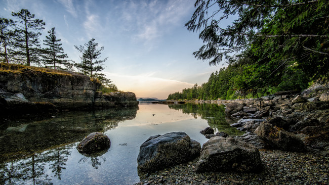 Обои картинки фото природа, реки, озера, река, лес