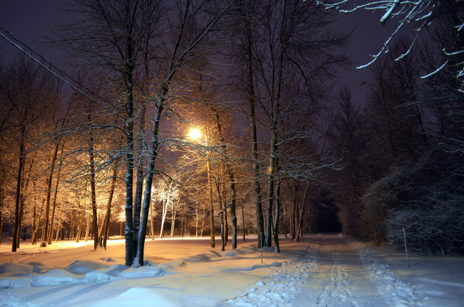 Обои картинки фото природа, зима, снег