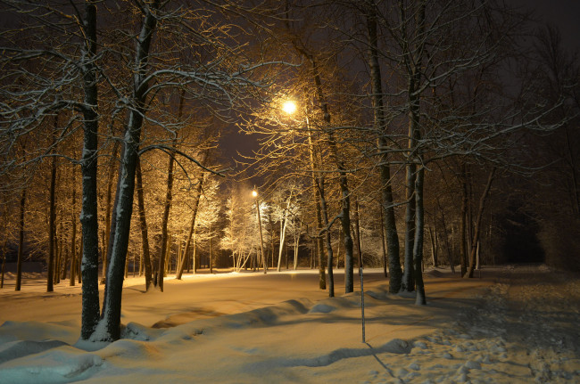 Обои картинки фото природа, зима, снег