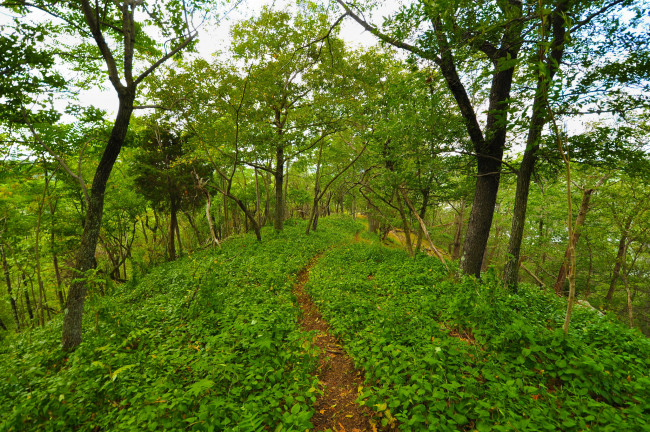 Обои картинки фото природа, дороги, простор