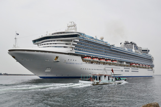 Обои картинки фото diamond princess, корабли, лайнеры, лайнер, круиз