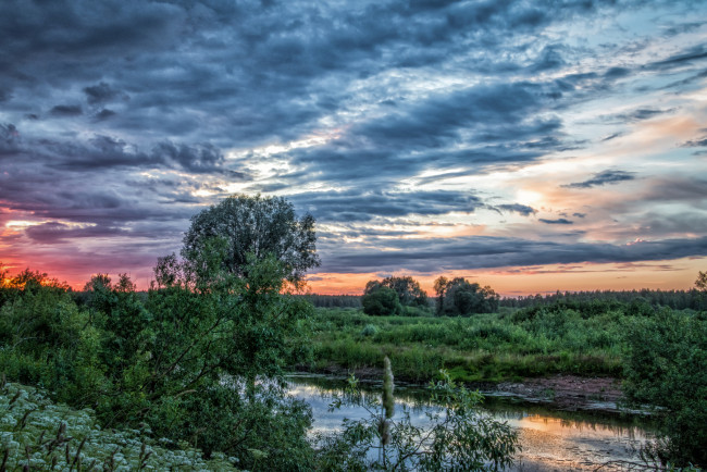 Обои картинки фото природа, реки, озера, лес, река