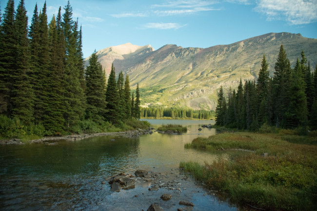 Обои картинки фото природа, реки, озера, река, лес