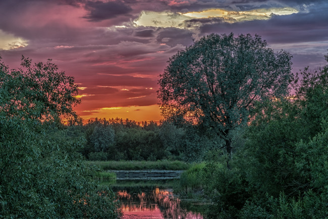 Обои картинки фото природа, реки, озера, река, лес