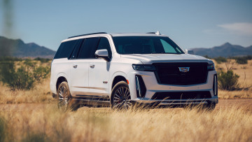 Картинка 2023+cadillac+escalade+v автомобили cadillac 2023 escalade v кадиллак белый джип природа