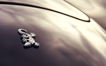 Картинка бренды авто-мото +-+другое wiesmann логотип ящерица