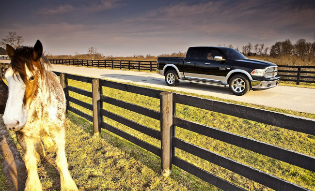 Обои картинки фото автомобили, ram, пикап, черный, дрога, лошадь, изгородь
