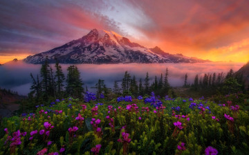 Картинка природа горы гора снег закат облака луга цветы