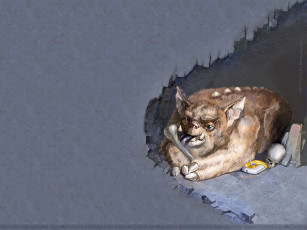 Картинка space rangers видео игры