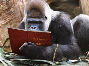 Картинка юмор приколы