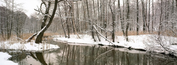 Картинка природа