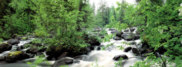 Картинка природа