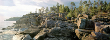 Картинка природа