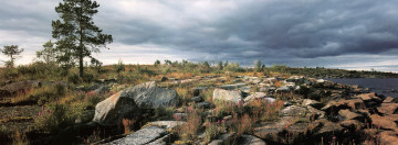 Картинка природа