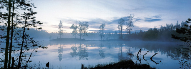 Обои картинки фото природа