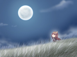 Картинка аниме spice and wolf
