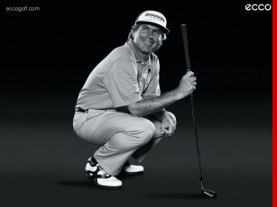 Картинка бренды ecco