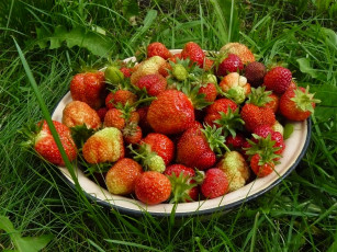 Картинка еда клубника земляника