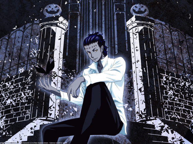 Обои картинки фото аниме, gray, man