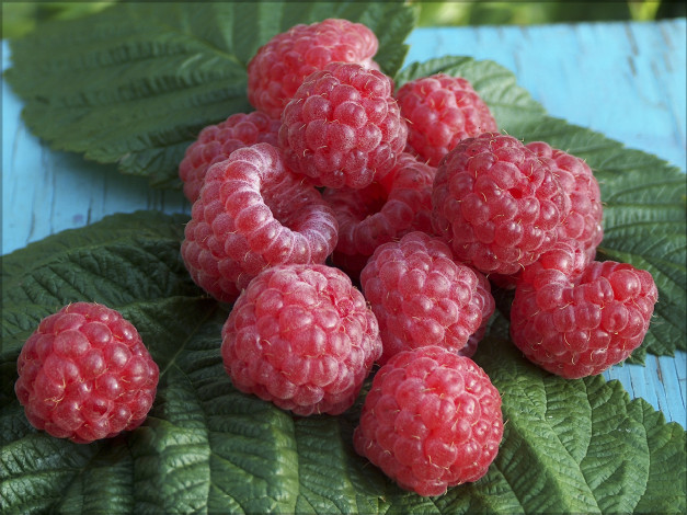 Обои картинки фото еда, малина