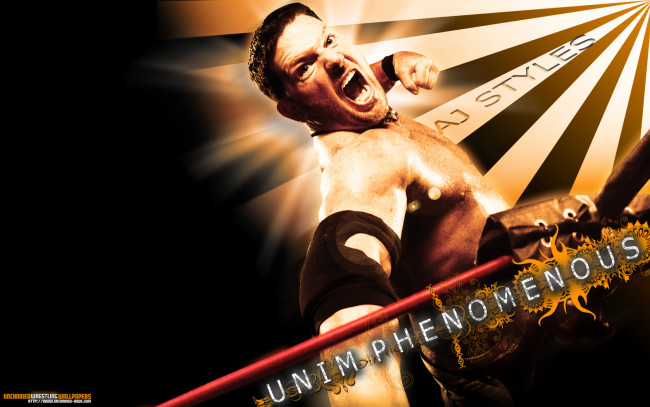 Обои картинки фото спорт, wwe