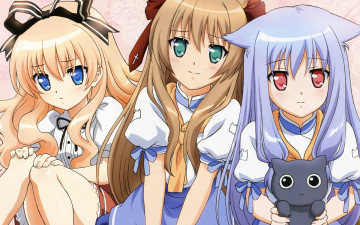 Картинка аниме mayoi neko overrun