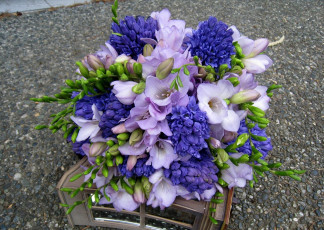 Картинка цветы букеты композиции фрезия гиацинты