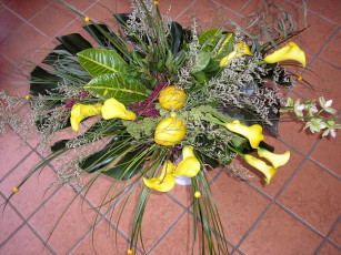 Картинка цветы букеты композиции букет каллы