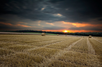 Картинка природа поля закат пейзаж жнивьё