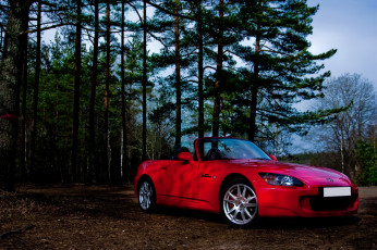 Картинка honda s2000 автомобили лес